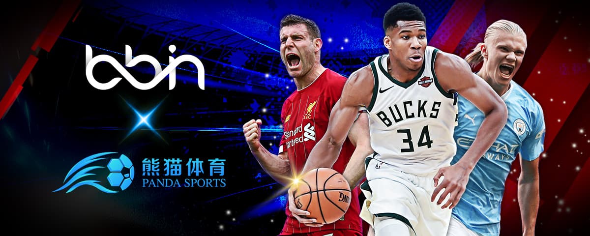 念与中国实